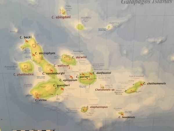 ガラパゴス諸島 Ryomaの世界見聞録