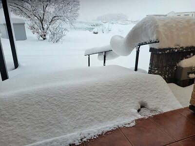 2026.1.25 金沢ドカ雪 史上1位だったそうです : 我が家のおでかけ帳