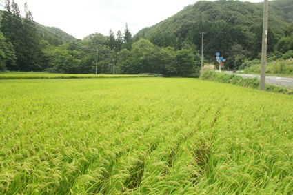 風切り鎌 きもち金持ちのむらから 天栄 湯本 でどやま物語