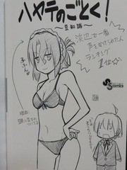 ハヤテのごとく 41巻 オリジナルアニメdvd付き限定版 でこぽん日記 其の弐