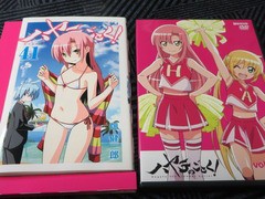 ハヤテのごとく 41巻 オリジナルアニメdvd付き限定版 でこぽん日記 其の弐