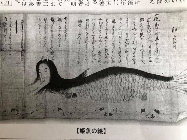 妖怪 姫魚 木偶 の会