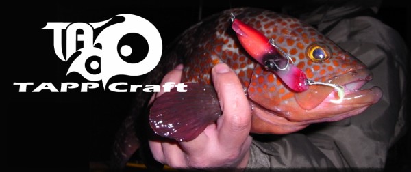 究極のイカパターンルアー /タップクラフト スタンディング