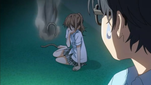 四月は君の嘘 第12話 トゥインクル リトルスター 演奏会に来ないかをり デルフィニウムの園