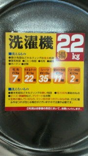 初めてのコインランドリー Washハウス 12月12日 ウランまま