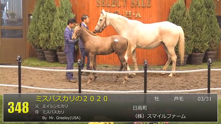 セレクトセール ミスパスカリの サマーハのを金子真人hdが落札 ハロン棒ch 競馬まとめ