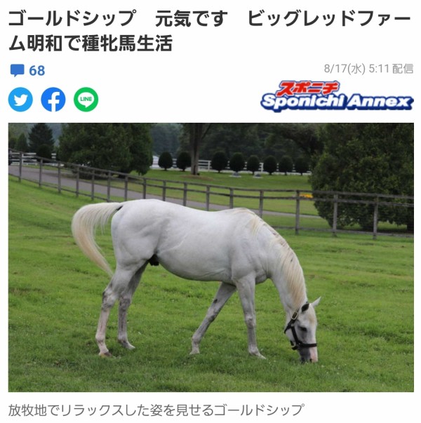 ゴールドシップ 牝馬になる ハロン棒ch 競馬まとめ
