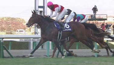 ２歳女王ショウナンアデラ骨折 ハロン棒ch 競馬まとめ