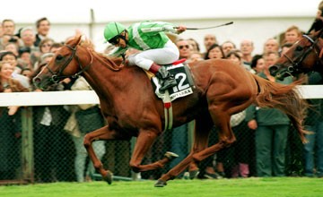 神の馬ラムタラ死亡 ハロン棒ch 競馬まとめ