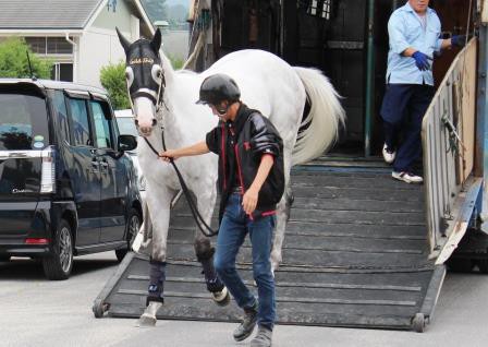 ゴールドシップ白すぎ ハロン棒ch 競馬まとめ