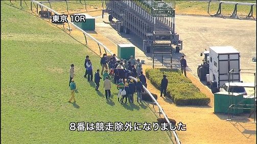 ダークシャドウおわた O ハロン棒ch 競馬まとめ