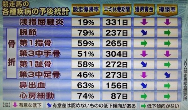 悲報 ショウナンアデラさん 電撃引退 ハロン棒ch 競馬まとめ