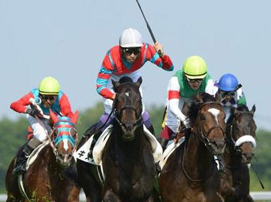 よく騎手がやってる鞭回すやつ ハロン棒ch 競馬まとめ