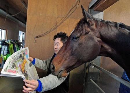 ゴールドシップさん ついに空中浮遊をマスターｗｗｗｗｗｗｗｗｗｗｗ ハロン棒ch 競馬まとめ