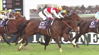 悲報 ショウナンパンドラ骨折 ハロン棒ch 競馬まとめ