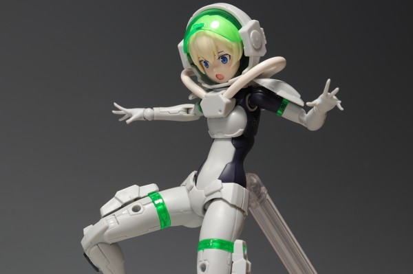 30MS SIS-Gc11w スティプラ＝ステロイ （アルディートフォーム