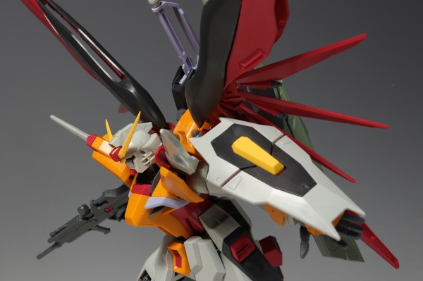 ガンプラEXPO限定 MG ハイネ専用 デスティニーガンダム : デンデロの消失