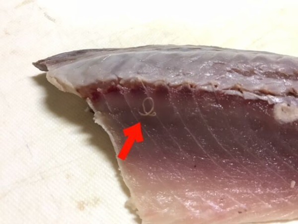 閲覧注意 寄生虫アニサキスが怖くて魚を食べられない 匿名だって暇つぶしを真剣