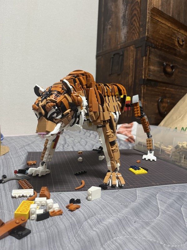 41 LEGO / トラ : DeRaのLEGOブロッグ