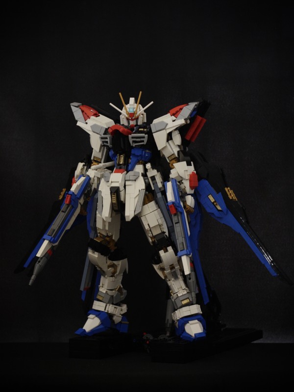 フリーダムガンダム ストライク 見分け方 MGEX ストライク