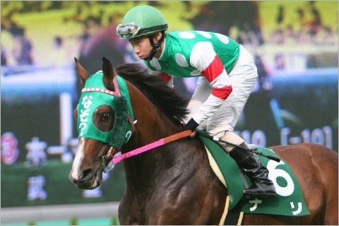 わかると面白い競走馬の名前の由来 競馬初心者ブログ 馬券師に憧れて