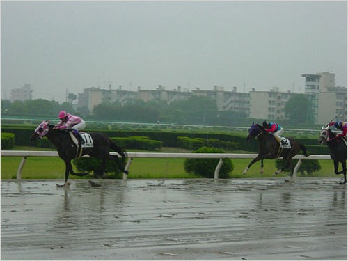 馬場状態(良・稍重・重・不良)とは? : 競馬初心者ブログ～馬券師に憧れて～