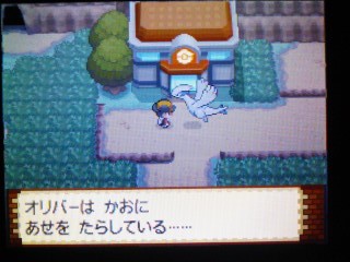 ポケモン魂銀より Cogito Ergo Sum