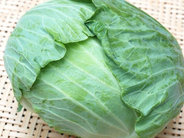 健康の為に無農薬のキャベツ買ったらナメクジ潜んでてワロタｗｗｗｗｗｗ ダイエット速報 2ちゃんねる