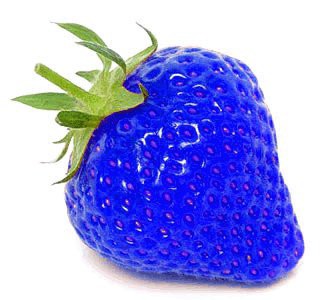 人間の食べ物で自然に取れるもので青いものは一つもない ダイエット速報 2ちゃんねる