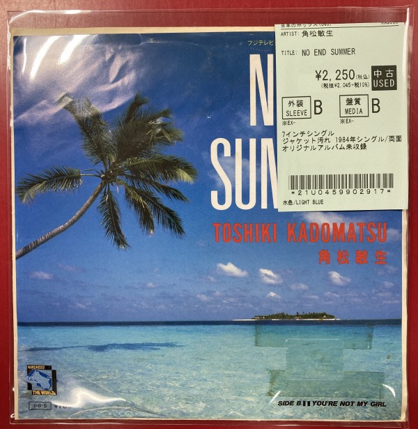 角松敏生 2枚 レコード - メルカリ