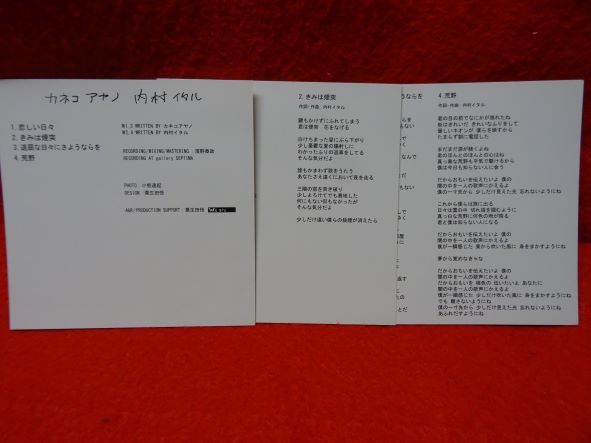 11/27(日)【新着中古情報】カネコアヤノ/ 内村イタルの稀少スプリット 