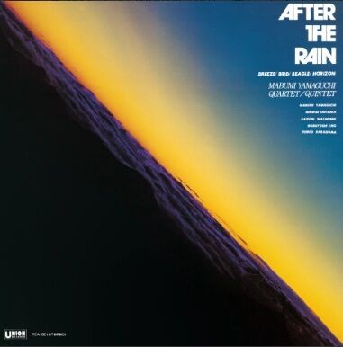 新品レコード】MABUMI YAMAGUCHI 山口真文 / AFTER THE RAIN(LP) 入荷