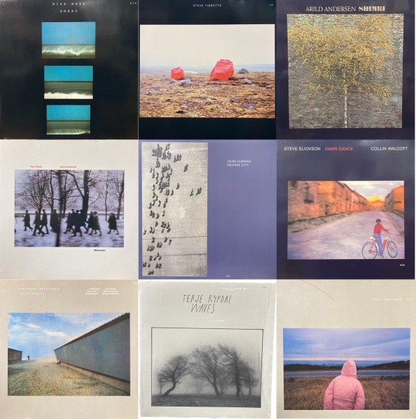 ドイツ盤 ECM Lask 2 Sucht Ordnung レコード ドイツ盤 ECM Lask 2 Sucht Ordnung レコード LP Lask 2 / Sucht