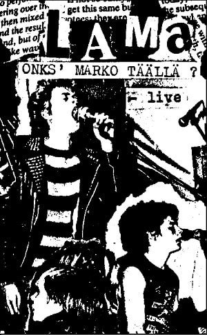 輸入盤CD/VALSE TRISTE/KOMPILAATIO/80年代フィンニッシュハードコアパンクHARDCORE PUNKフィンランドFINLANDスカンジ北欧フィンコア