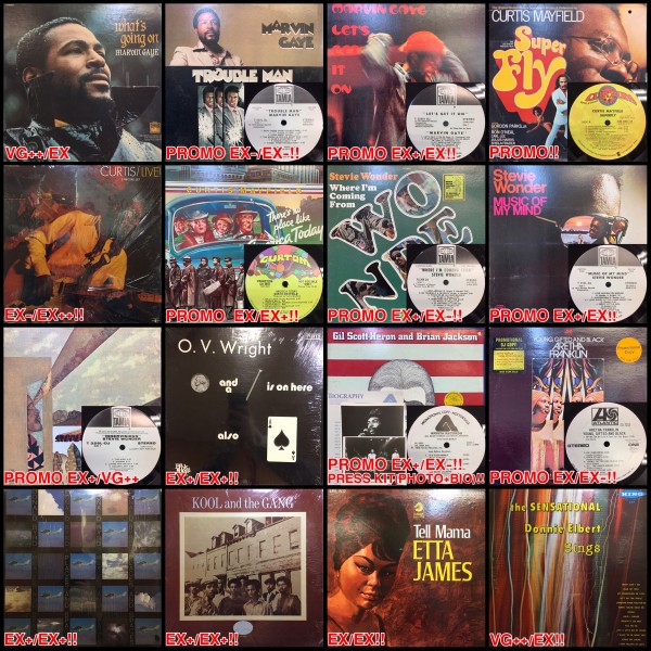 Day6 CODA 廃盤 ホンダ ライブDio ZX仕様 ハリケーンロンホイスペシャル