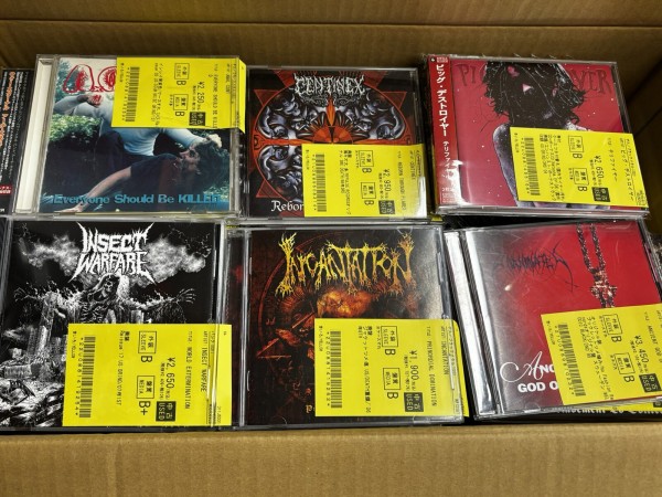 SHACHI indies rock DVDディスクのみ SHACHI indies rock DVDディスクのみ Amazon.co.jp: Indie Rock