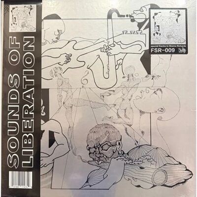 SOUNDS OF LIBERATION New Horizons LP 再発盤 ○新品LP○SOUNDS OF LIBERATION / SOUNDS OF LIBERATION : ディスク