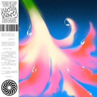 新品 Sam s - Waves / レコード ○新品LP○ TURN ON THE SUNLIGHT / WARM WAVES：2020年作「ウォーム