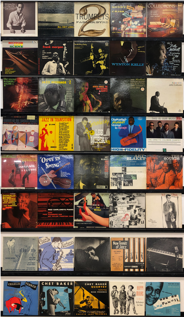 レコード まとめ売り 30枚以上 ソー・バッド・レビュー / SOOO BAAD REVUE (LP) - HIP TANK RECORDS