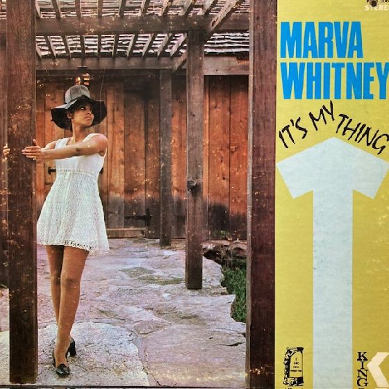 オンラインショップ購入ボタン設置しました。オンラインにてご購入