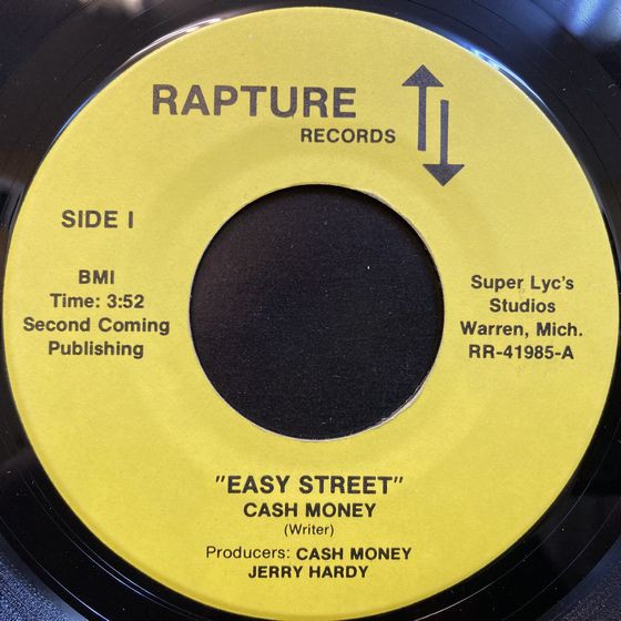 DS455 レコード10枚セット