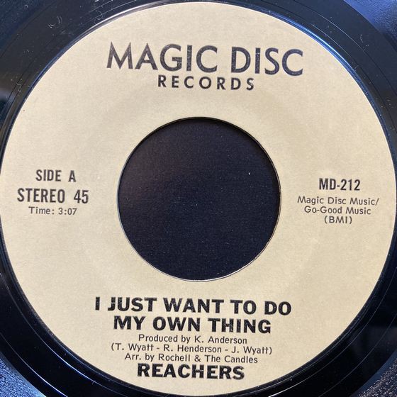 DS455 レコード10枚セット
