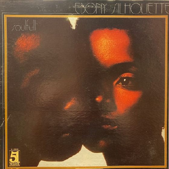 ◎9/8(金) SOUL・RARE GROOVE 新着中古LP 70枚入荷！ : ディスク