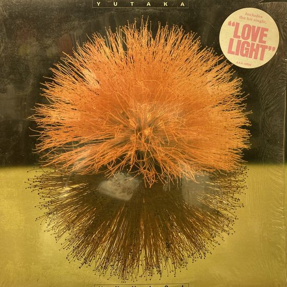 ◎2/6(月) SOUL～RARE GROOVE 新着＆廃盤中古LP 150枚オーバー