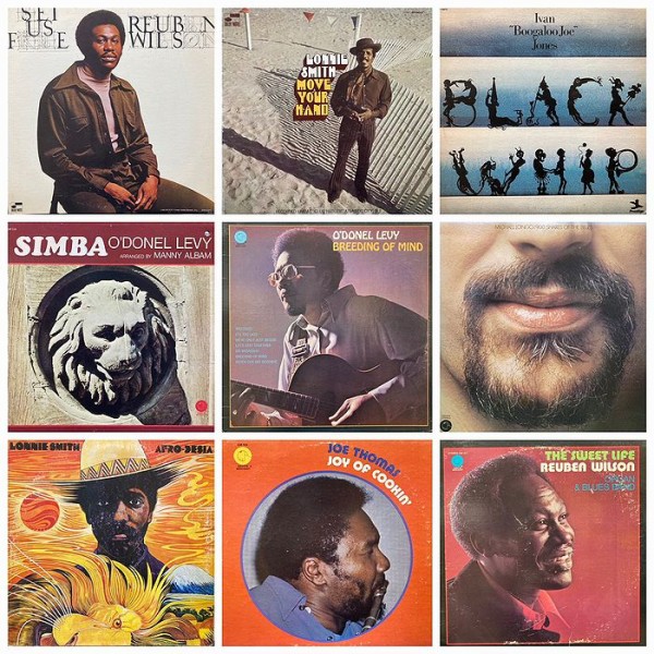 オンラインショップ購入ボタン設置しました！オンラインにてご購入