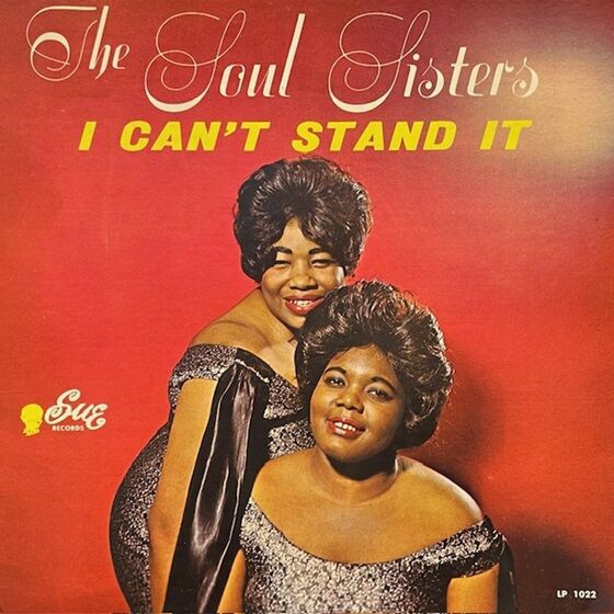 SOUL SISTERS 6冊セット オンラインショップ購入ボタン設置しました！オンラインにてご