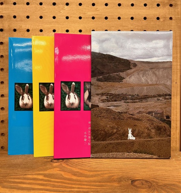 【ウサギ】忘れた世界探しを コンピレーションアルバム Susumu Hirasawa – Virtual Rabbit – CD (Album), 1991 [r395794