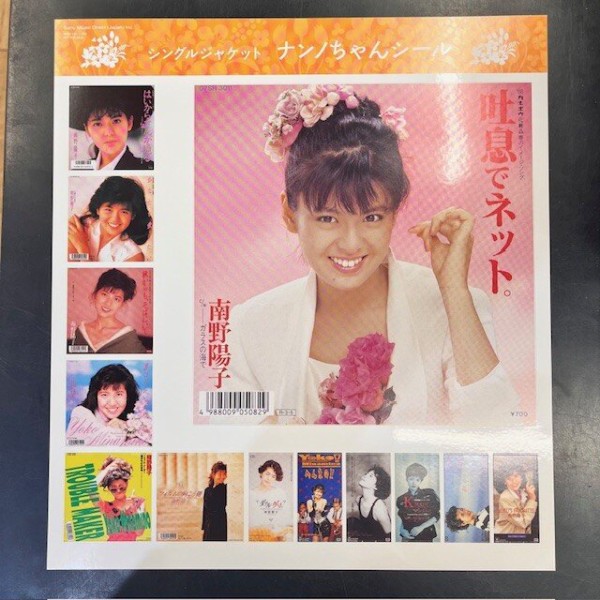 完全生産限定盤！】南野陽子「ナンノ・DVDボックス」入荷