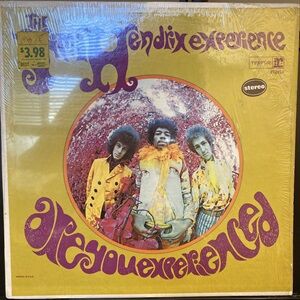 未使用 Magic Cucumbers - Platypus / レコード 5/2(金) 美品がズラリ！ ロック、プログレ 廃盤レコード放出