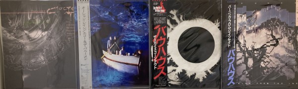 中古レコード ホンダ ライブDio ZX仕様 バッテリー新品 エナメルシート